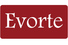 Dongguan Evorte Jewelry Co., Ltd. logo