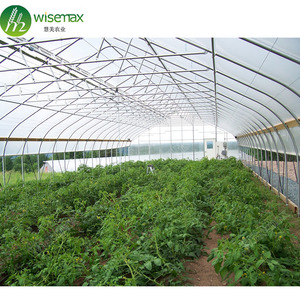 Produksi sayuran bingkai baja tergalvanis panas plastik <span class=keywords><strong>Diy</strong></span> ramping ke rumah kaca - Product Image 1