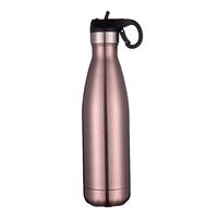 Beauchy Meilleures Ventes 2024 500ml Bouteille d'eau en acier inoxydable pour sport de plein air dorée