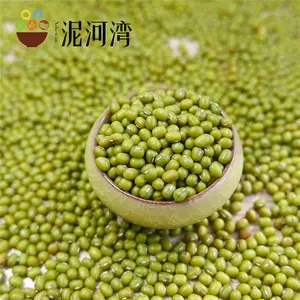 3.8mm Green Mung Bean Mung Beans Sprout Use For Sale