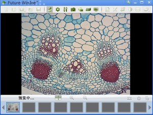 Haute résolution caméra de <span class=keywords><strong>microscope</strong></span> numérique oculaire mettre à jour <span class=keywords><strong>microscope</strong></span> numérique une fois plein écran et une haute fréquence d'images - Product Image 5