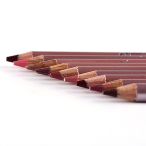 <span class=keywords><strong>Crayon</strong></span> à lèvres professionnel longue durée multicolore, étiquette privée, imperméable, vente en gros - Product Image 1