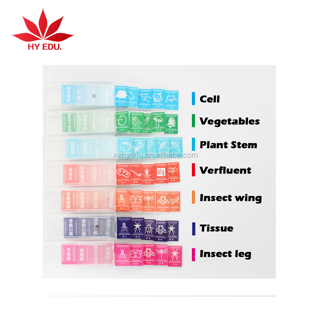 Горячая Распродажа 2018, Обучающие ресурсы в подарок, 35 различных образцов микроскопа, подготовленные слайды для детей, образовательные