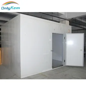 Cold Storage Project, Cold Room Freezer for Fish