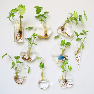 <span class=keywords><strong>Vasi</strong></span> in <span class=keywords><strong>Vetro</strong></span> <span class=keywords><strong>per</strong></span> <span class=keywords><strong>Piante</strong></span> Acquatiche Sospese - Product Image 1
