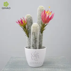 Mini Indoor Flowering Weihnachten künstliche Kaktus Pflanze Büro Schreibtisch Dekoration Kaktus