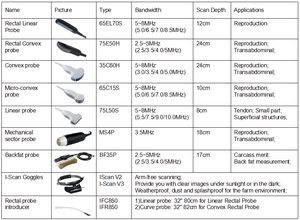 Precio de la Máquina de Ecocardiografía Portátil, Equipo Veterinario L80 - Product Image 4