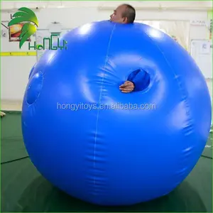Disfraz de globo de PVC duradero, Hongyi traje inflable de bola de arándano a la venta