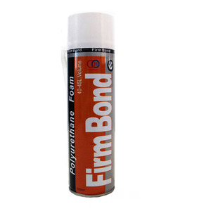Chất lượng hàng đầu 750ml PU bọt 800g Trọng lượng tịnh - Product Image 3