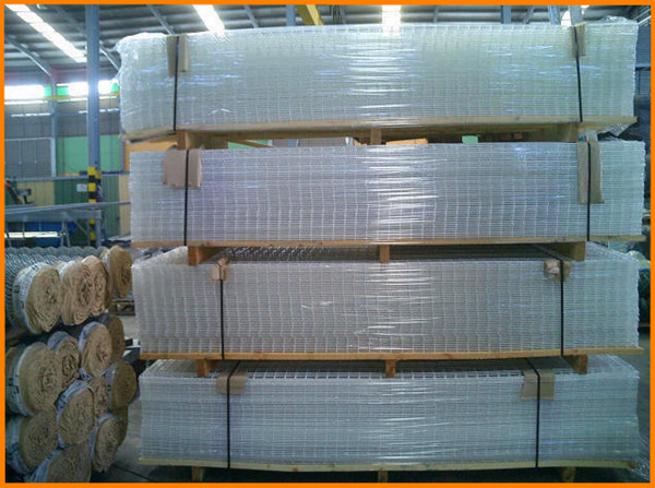 Coated Astm Standard 1mm Welded Wire Fencing Panels Stainless Steel