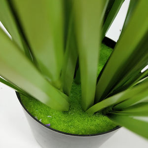 Nhân Tạo Chậu Cây Mô Phỏng Trắng Bulbous Hoa Màu Xanh Lá Cây Lá Sống Động Như Thật Nhà Máy Trong Chậu Văn Phòng Vườn Cây Nhân Tạo - Product Image 5