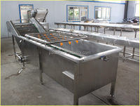 Machine à laver les légumes à bulles d'eau, lave-légumes pour tomates, fraises, fruits, nettoyage des fruits