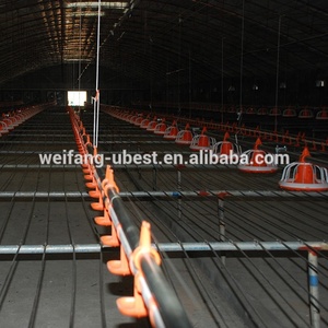 Kippenboerderij Staalconstructie Prijs Twee Verdiepingen Voor Kippenhok Pluimveebedrijf - Product Image 6