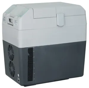 Kulkas Dc/Lemari Es Portabel, Kulkas Mini Freezer