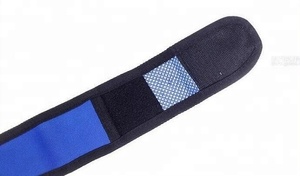 Nieuwe Zomer Chill Out Huisdier Koeling Kraag Hond Cooling Kraag met Verwijderbare Gel Pack - Product Image 4
