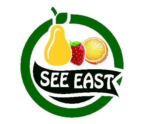 Qingdao See East Intl Trade Co., Ltd. logo