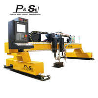 P & S-máquina de corte de Plasma y llama, 6000 CNC