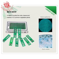 Plastic Microscope Prepared Slides Animals ,Botany ,Insect ,Flowers 4 Colors Each 12 Kinds
