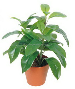 Vente en gros d'étoffes décoratives, fausses plantes en plastique haut <span class=keywords><strong>de</strong></span> gamme, épimpremnum Aureum, bonsaï, LS16070443 - Product Image 5