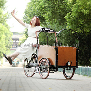 Vélo électrique à 3 roues avec <span class=keywords><strong>remorque</strong></span> de transport, fabriqué par le fabricant d'origine, à vendre - Product Image 2