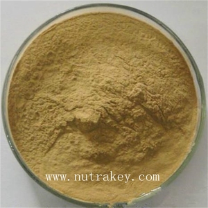 Mejorar la función sexual medicina de hierbas miel Goat Weed extracto - Product Image 1