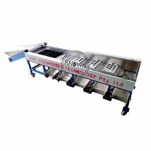 OEM Stainless Steel Automatic apple/onion /garlic sorting machine Fruit and Vegetable Sorting Machine Fruit Sorter