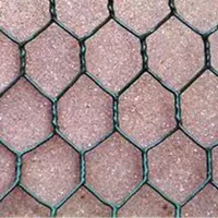 Zincato a caldo di pietra di gabion cage/Esagonale personalizzabile rete metallica/PVC rivestito filo galfan gabion