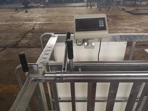 <span class=keywords><strong>Sheep</strong></span> Handling Peralatan Penyusunan dengan Bobot Mesin - Product Image 6