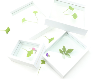 <strong>Square</strong> A4 Paper Diy Photo <strong>Frame</strong> Double-sided Glass <strong>Picture</strong> <strong>Frame</strong> Set Plant Dried Flower Leaf Specimen <strong>Frame</strong> Wholesale - Product Image 2