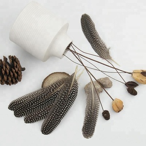 6-8.4 Inch(15-21 Cm) Kualitas Tinggi Alami Bermotif Guinea Fowl Sayap Bulu