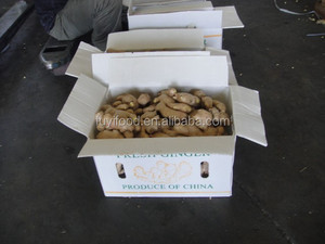 Crystal <strong>Ginger</strong>,<strong>fresh</strong> <strong>Ginger</strong>,dry <strong>Ginger</strong> Supplier - Product Image 4