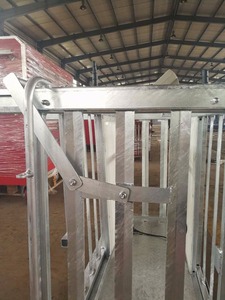 <span class=keywords><strong>Sheep</strong></span> Handling Peralatan Penyusunan dengan Bobot Mesin - Product Image 5
