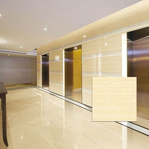 Carrelage mural et de sol extérieur en porcelaine polie Magic Line 600x600 - Product Image 1