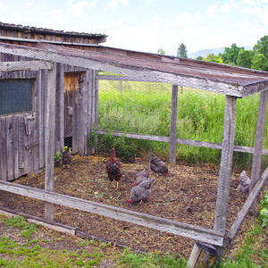 Hot dip電気亜鉛メッキ金網メッシュ六角形のメッシュ最低価格 - Product Image 2