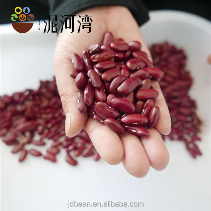 다크 레드 신장 콩 큰 크기 200-220 개/100g 통조림 용 Rajma