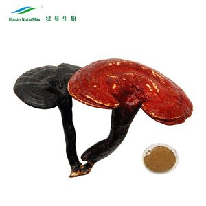 Cápsula de pó de lingzhi com amostras gratuitas, alimentos saudáveis - Product Image 2
