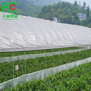 PE <strong>Greenhouse</strong> <strong>Film</strong>, <strong>Etfe</strong> <strong>Greenhouse</strong> <strong>Film</strong>, Tunnel Plastic <strong>Greenhouse</strong> <strong>Film</strong> Agriculture - Product Image 5