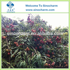 chino congelados de alta calidad <span class=keywords><strong>lichis</strong></span> - Product Image 5
