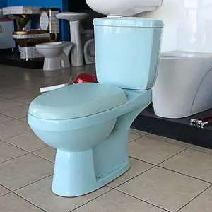 Hoge Kwaliteit Economische Washdown Blauwe Kleur Toilet Voor Verkoop