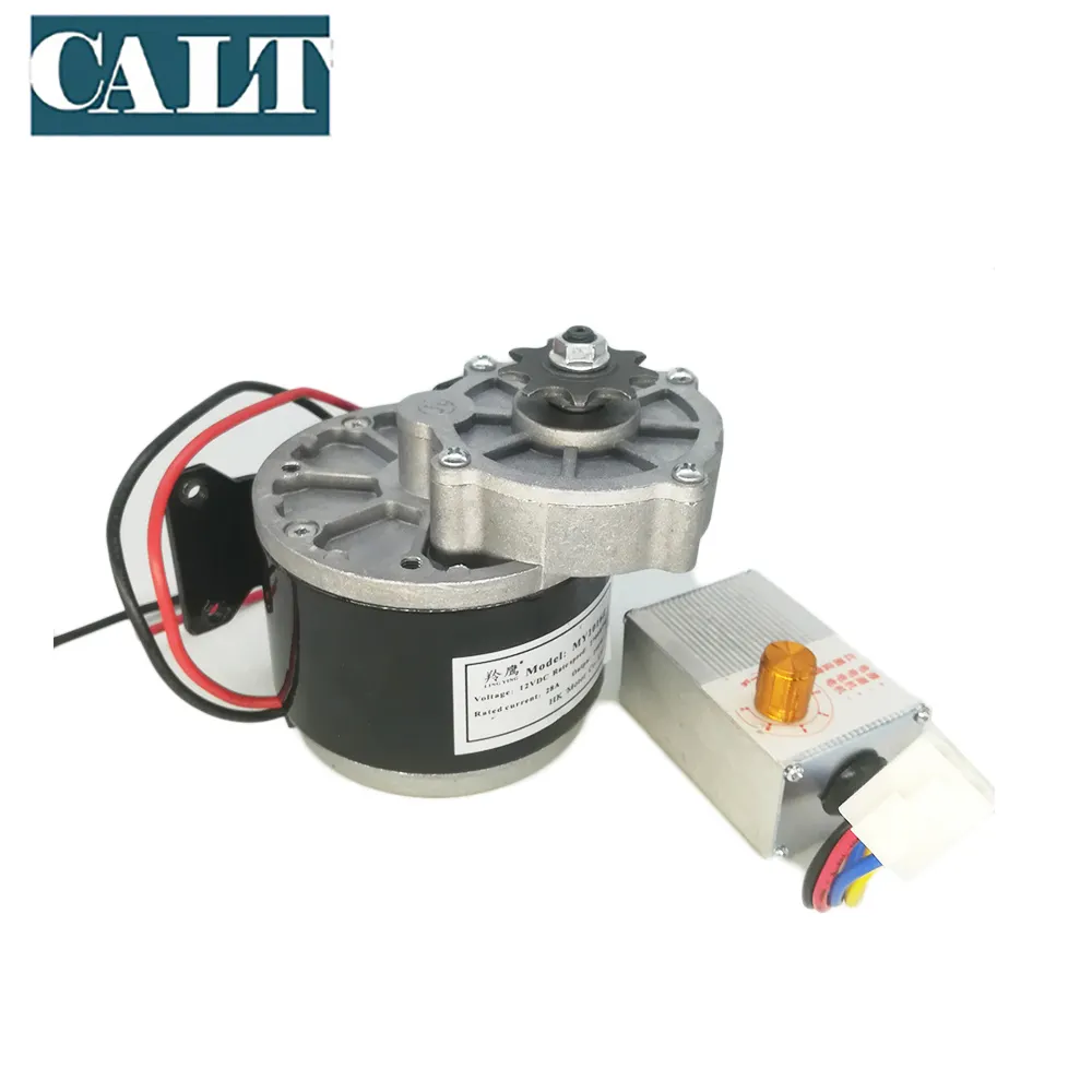 MY1016Z Cheap Price Custom 12V 250W Electrical Vehicle Brushed DC Motor with speed controller