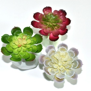 Nuevo estilo directamente de la fábrica barato y de <span class=keywords><strong>alta</strong></span> calidad de PVC mini <span class=keywords><strong>echeveria</strong></span> planta - Product Image 3