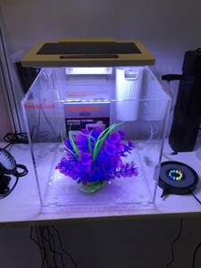 <strong>Acrylic</strong> <strong>Fish</strong> <strong>tank</strong> Bowl Aquarium square Quadrate <strong>Fish</strong> <strong>tank</strong> Mini <strong>Fish</strong> <strong>tank</strong>