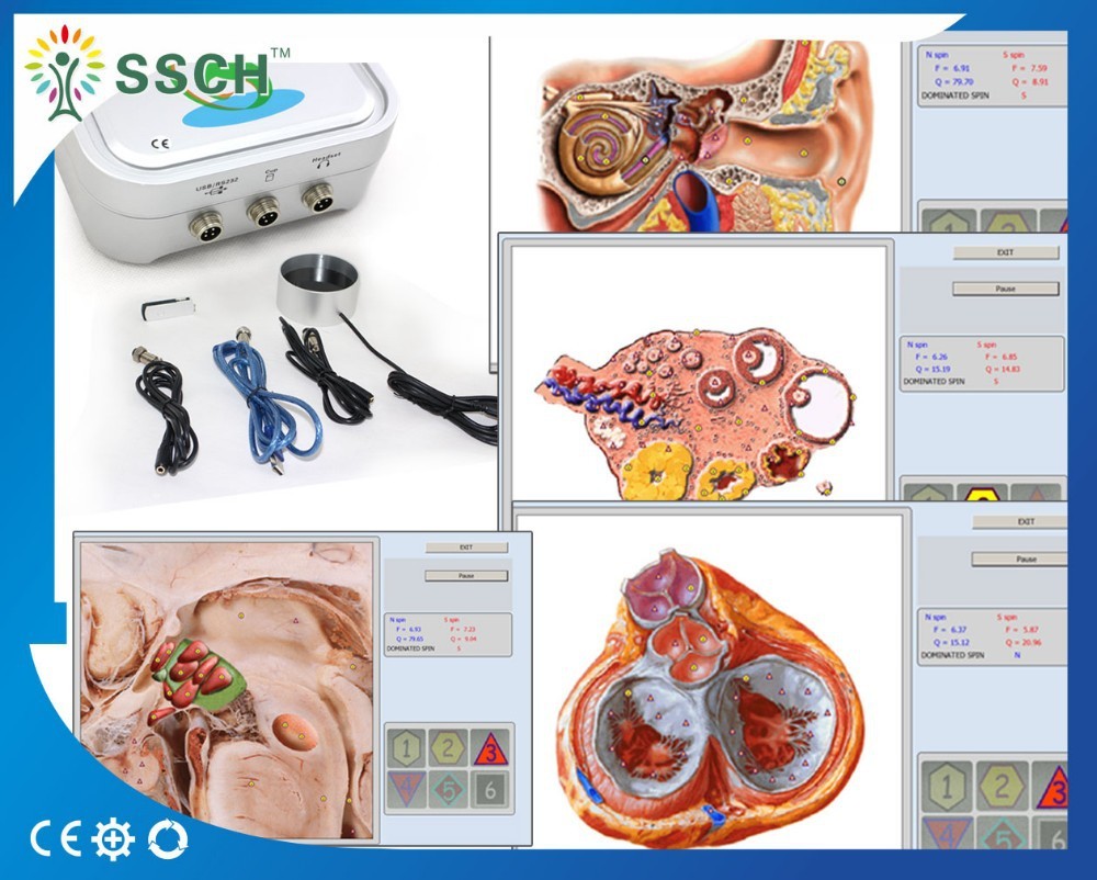 Bioresonance machine Corps Entier nls diagnostics gy-518d Nls Avec 12 Systèmes équipement de physiothérapie