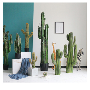 Quasi naturale piante succulente <span class=keywords><strong>cactus</strong></span> vasi artificiale <span class=keywords><strong>pianta</strong></span> <span class=keywords><strong>di</strong></span> <span class=keywords><strong>cactus</strong></span> - Product Image 5