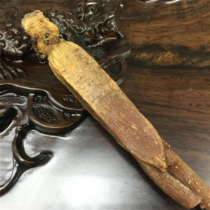 Supplier <strong>Korean</strong> Red <strong>Ginseng</strong> <strong>P.E.</strong> Ginsenosides Extract Powder /<strong>korean</strong> Red <strong>Ginseng</strong> - Product Image 4