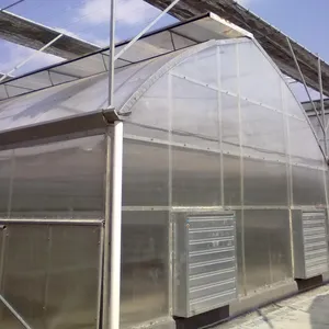 Greenhouse conveniente e superb casa multi span
