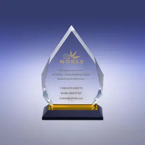 Custom made Gold Diamond Reflectie Acryl Trofee Award