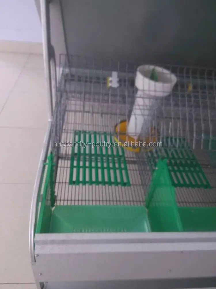 Thỏ Lồng của 2 hoặc 3 lớp với thỏ đá đen nhựa sàn (thỏ cage-011)