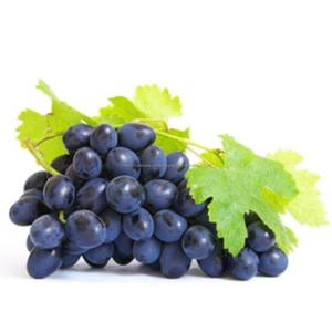 Haute Qualité Doux Délicieux <span class=keywords><strong>Chine</strong></span> Fruits Raisin <span class=keywords><strong>De</strong></span> Table En Vrac Carton - Product Image 6