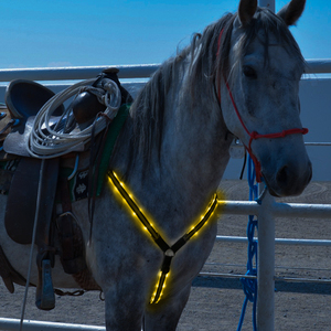 2019 Pabrik Grosir <span class=keywords><strong>Led</strong></span> Kuda <span class=keywords><strong>Harness</strong></span> Sangat Terang - Product Image 3
